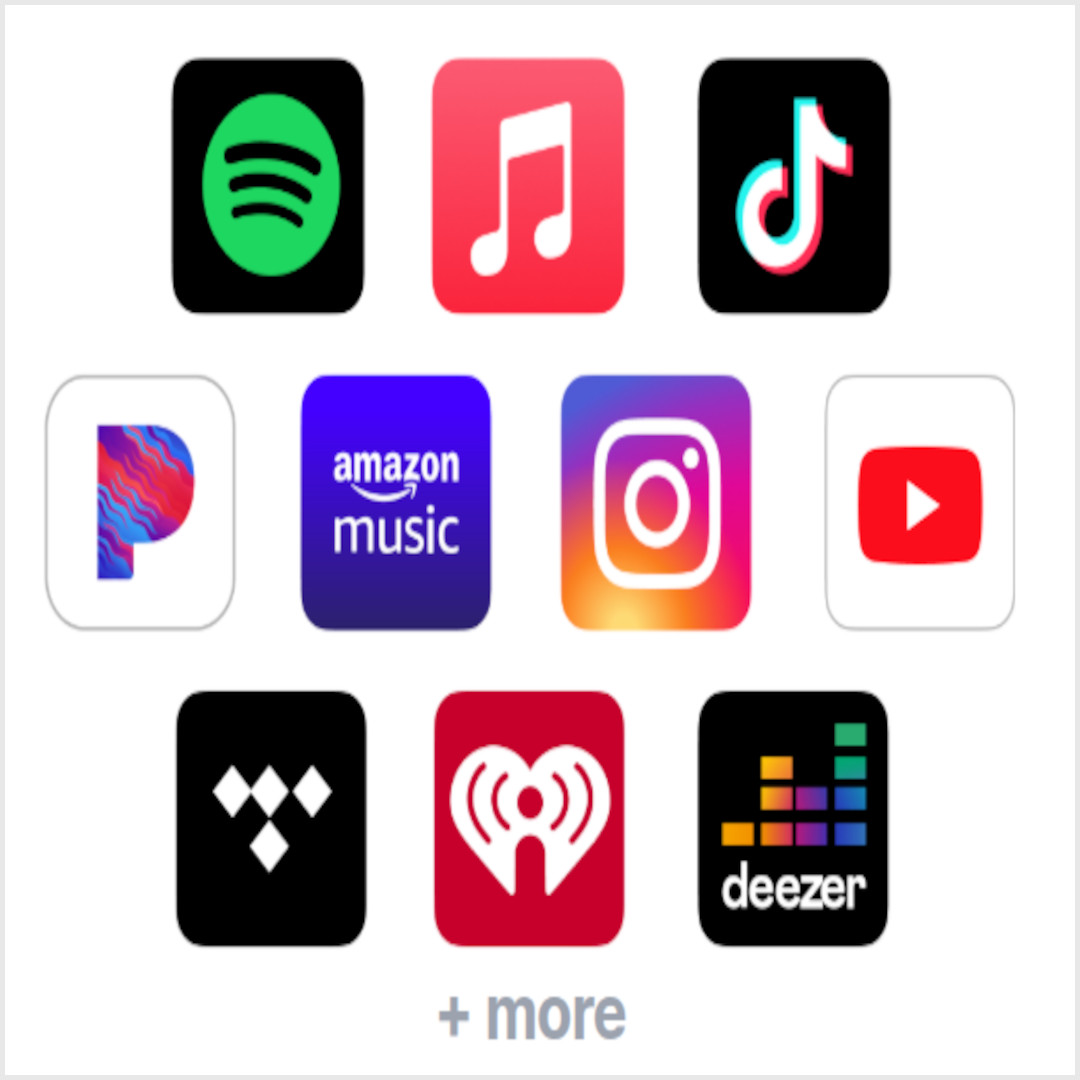 DistroKid